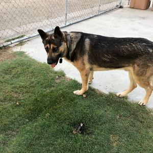 Meet your Posher, Sandra